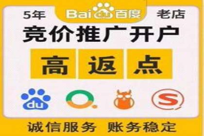 竞价推广实战技巧：成功案例分享会